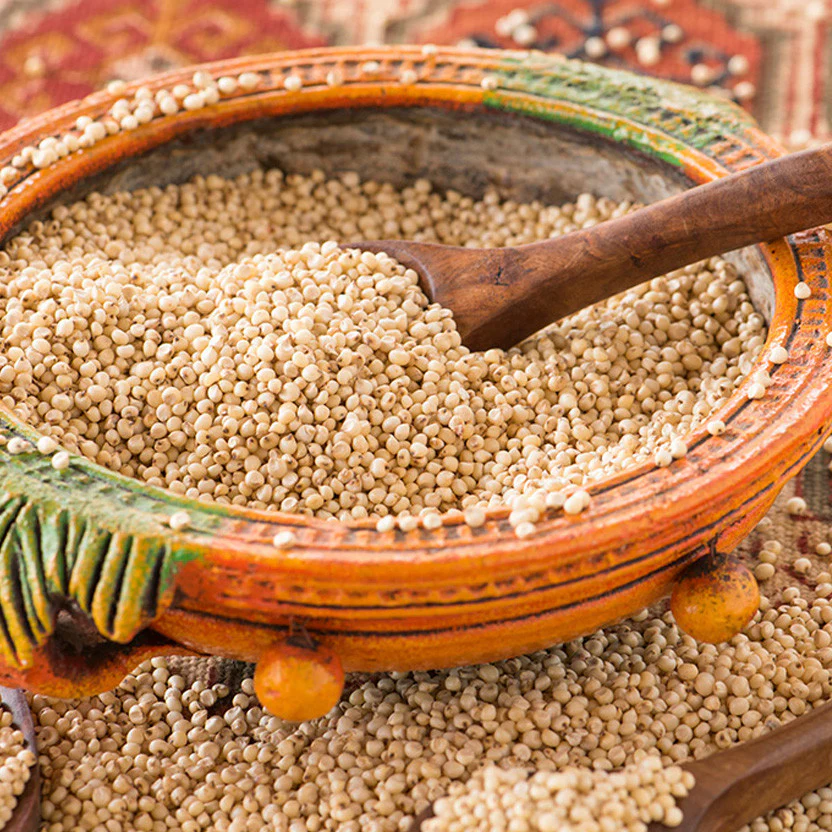 Sorghum (Jowar)