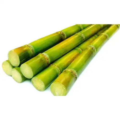 Sugarcane