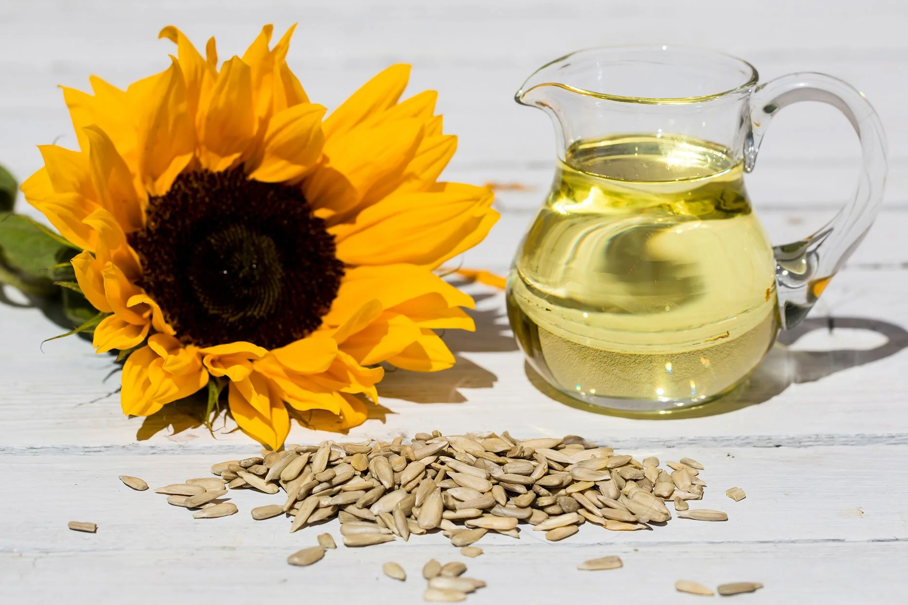  Sunflower Oil